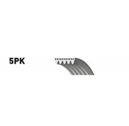 Ремінь поліклін. 5PK955 (Вир-во Gates)