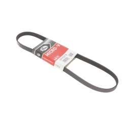 Ремінь поліклін. 5PK978 (вир-во Gates)