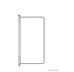 Ролик модуля натягувача ременя