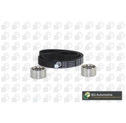 Роликовий модуль натягувача ременя (ролик, ремінь)